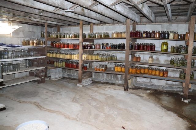 66 Lake Valley Drive, Seymour, MO 65746