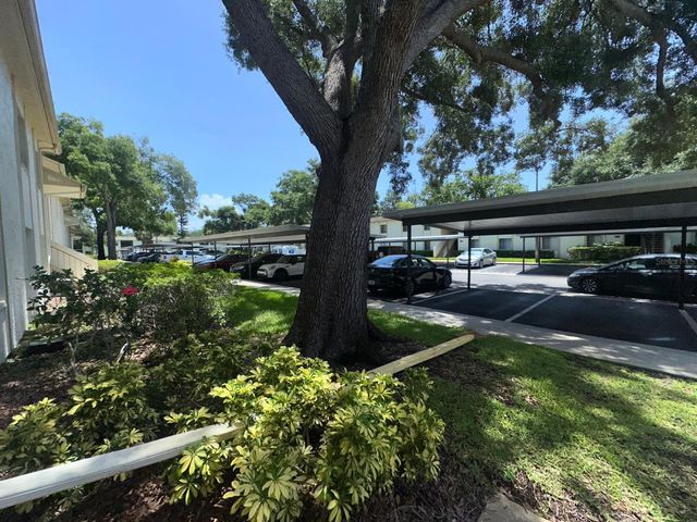 201 PALMETTO COURT 201, Oldsmar, FL 34677