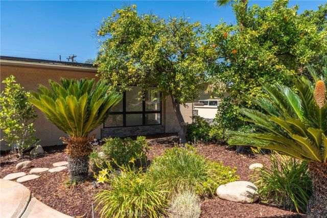 1244 W Highland, Redlands, CA 92373