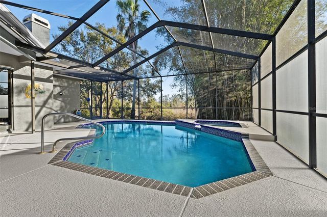 23048 PRESERVE COURT, Lutz, FL 33549