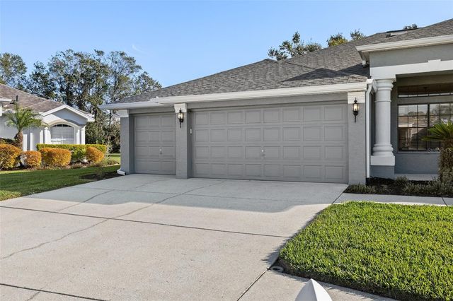 23048 PRESERVE COURT, Lutz, FL 33549