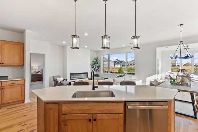 8012 Xyloid Lane, Corcoran, MN 55340