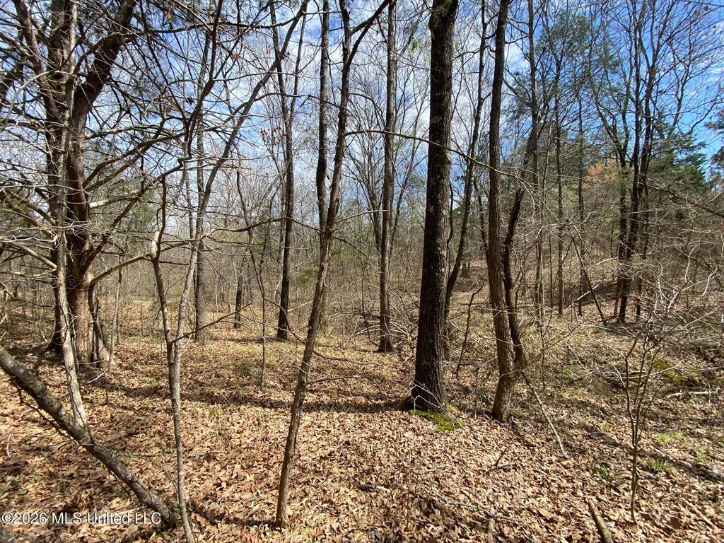 12 Acres Wall Hill Farms Road, Byhalia, MS 38611 — photo 2