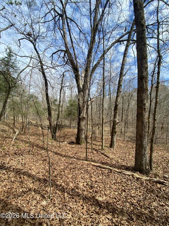 12 Acres Wall Hill Farms Road, Byhalia, MS 38611 — photo 3