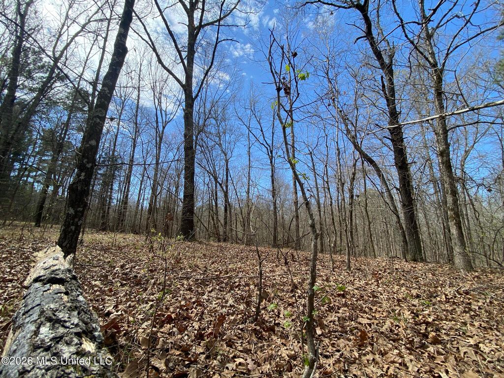 12 Acres Wall Hill Farms Road, Byhalia, MS 38611 — photo 4