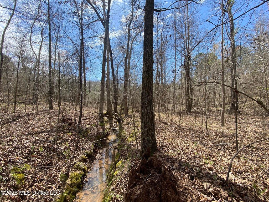 12 Acres Wall Hill Farms Road, Byhalia, MS 38611 — photo 5