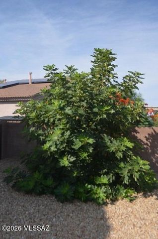 13671 E Vía Valle De Lobo, Vail, AZ 85641