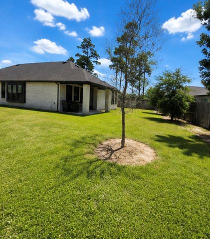 403 Soapberry Tree Court, Conroe, TX 77318