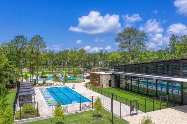 403 Soapberry Tree Court, Conroe, TX 77318