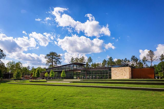 403 Soapberry Tree Court, Conroe, TX 77318