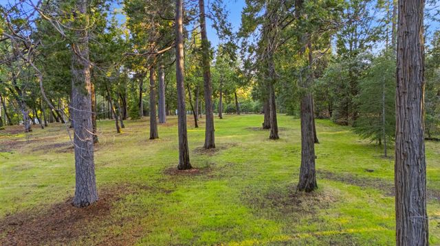 10770 Cement Hill Rd, Nevada City, CA 95959