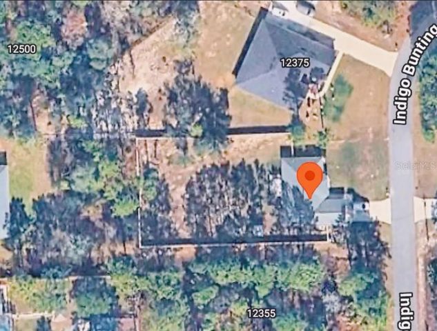 12365 INDIGO BUNTING ROAD, Weeki Wachee, FL 34614