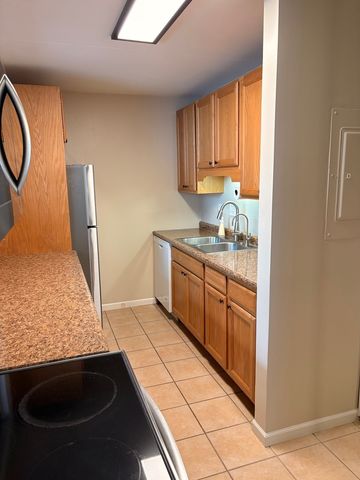 342 W Miner Street 1A, Arlington Heights, IL 60005