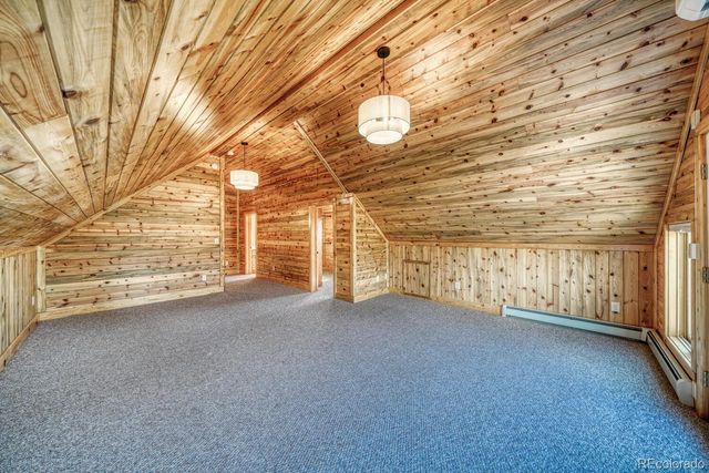 30260 Princeton Hills, Buena Vista, CO 81211