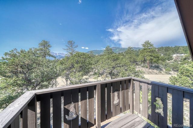 30260 Princeton Hills, Buena Vista, CO 81211