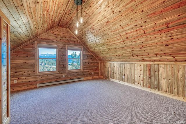 30260 Princeton Hills, Buena Vista, CO 81211