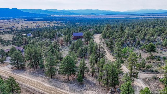 30260 Princeton Hills, Buena Vista, CO 81211