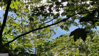 LOT 17 Abbott Mill Road, Ellijay, GA 30540