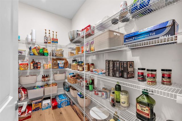 33372 LANDSMAN LOOP, Wesley Chapel, FL 33543