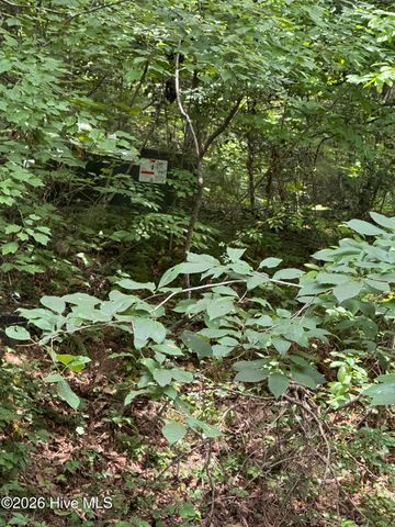 24,25 Camp Creek Estates Drive, Murphy, NC 28906