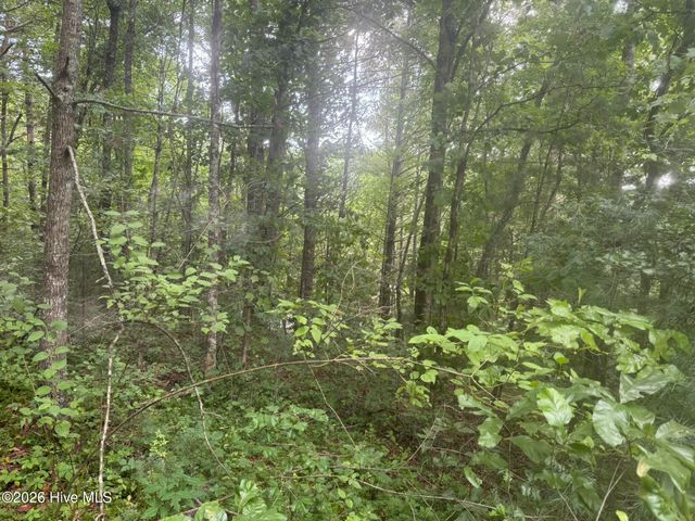 24,25 Camp Creek Estates Drive, Murphy, NC 28906