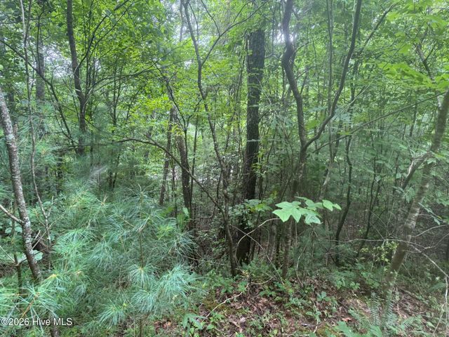 24,25 Camp Creek Estates Drive, Murphy, NC 28906
