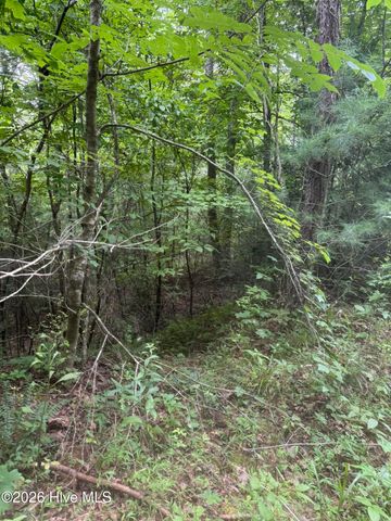 24,25 Camp Creek Estates Drive, Murphy, NC 28906