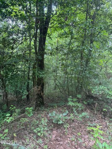 24,25 Camp Creek Estates Drive, Murphy, NC 28906