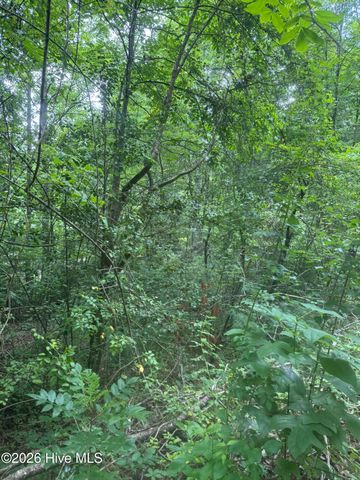 24,25 Camp Creek Estates Drive, Murphy, NC 28906