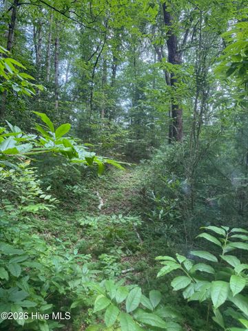 24,25 Camp Creek Estates Drive, Murphy, NC 28906