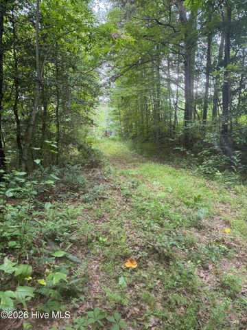24,25 Camp Creek Estates Drive, Murphy, NC 28906