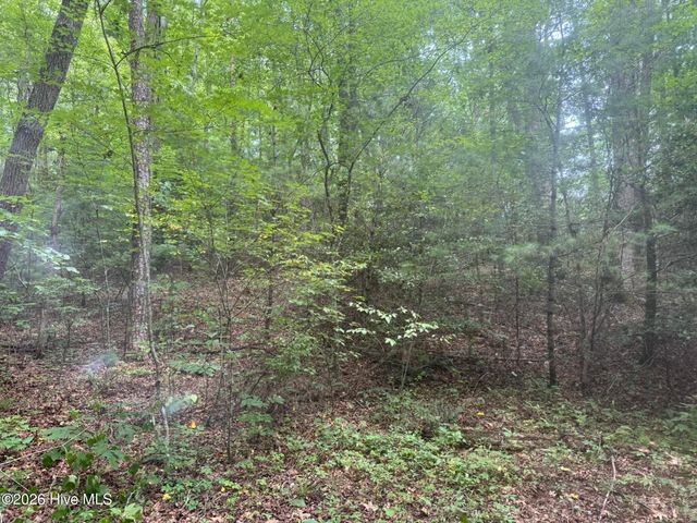 24,25 Camp Creek Estates Drive, Murphy, NC 28906