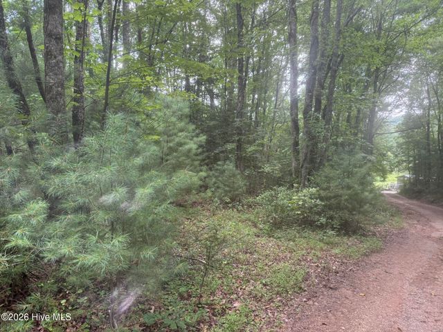 24,25 Camp Creek Estates Drive, Murphy, NC 28906