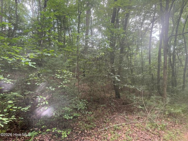 24,25 Camp Creek Estates Drive, Murphy, NC 28906