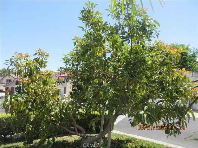 6777 Ossabaw Court, Cypress, CA 90630