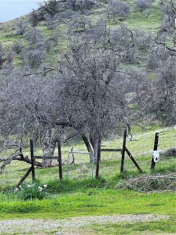 Image 48 of property listing at 30284 Bear Mountain, Squaw Valley, CA 93675