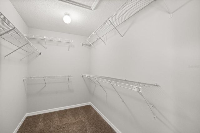 293 HORSEMINT LANE, Ocoee, FL 34761