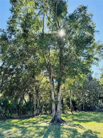 WHITEHALL STREET, Daytona Beach, FL 32114