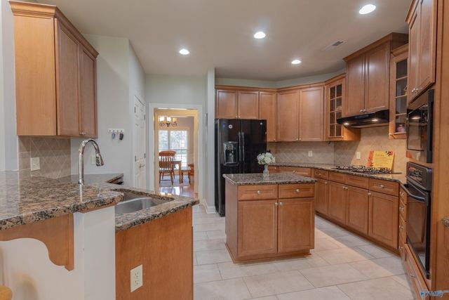 520 Thoreau Spring Court, Madison, AL 35758