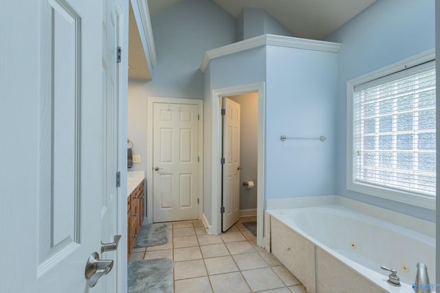 520 Thoreau Spring Court, Madison, AL 35758