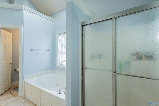 520 Thoreau Spring Court, Madison, AL 35758