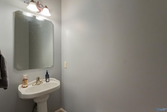 520 Thoreau Spring Court, Madison, AL 35758