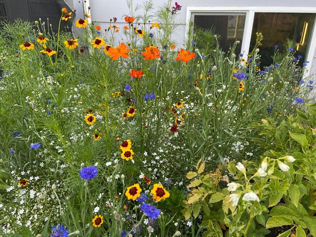 2309 Broadway, Grand Junction, CO 81507