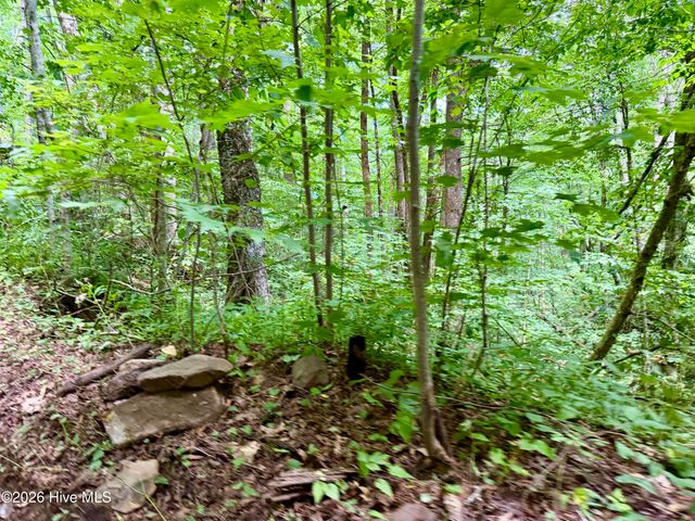 4181 Huffman Creek Road 32, Robbinsville, NC 28771