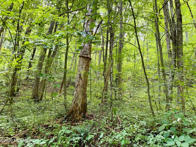 4181 Huffman Creek Road 32, Robbinsville, NC 28771