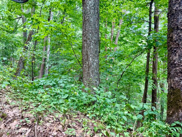 4181 Huffman Creek Road 32, Robbinsville, NC 28771