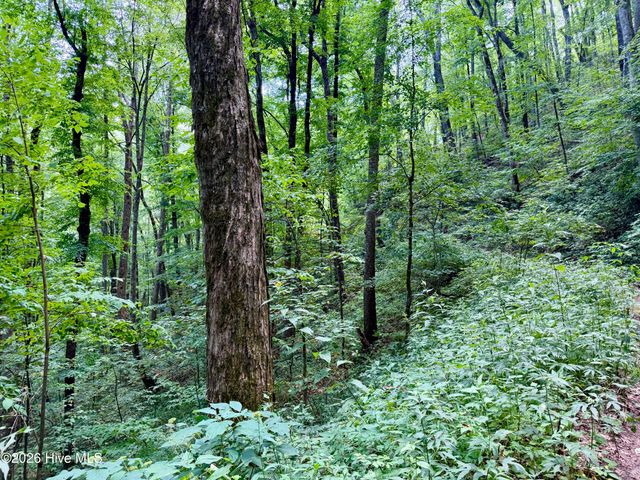 4181 Huffman Creek Road 32, Robbinsville, NC 28771
