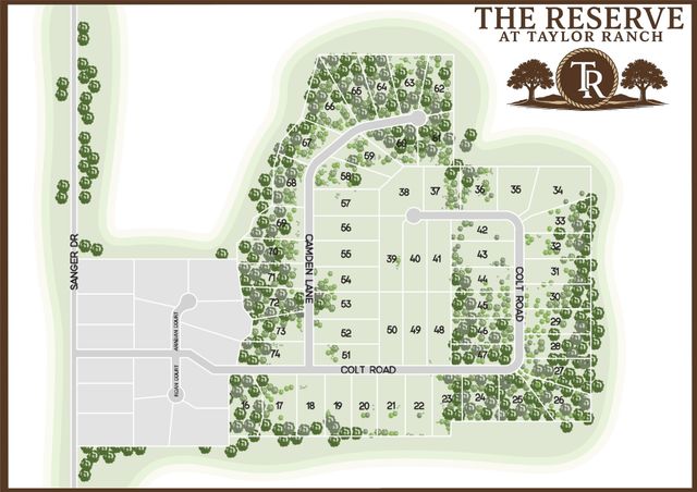Lot 62 & 63 Camden Lane, Springtown, TX 76082