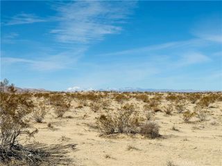 1 Charlotte, 29 Palms, CA 92277