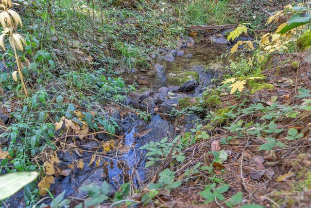 27258 Columbia Dr, Pioneer, CA 95666